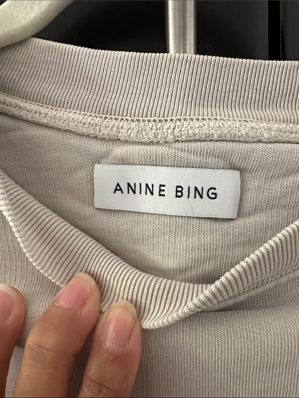 Anine Bing Tiger Sweatshirt in Stone Large - Picture 5 of 12
